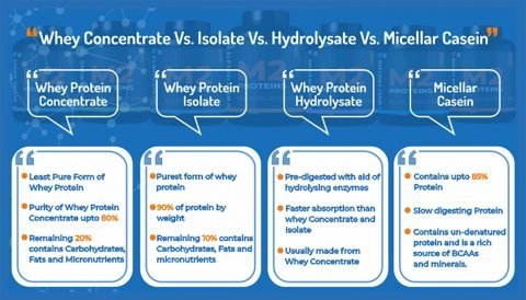 Helpful Analysis Of Whey Concentrate Vs Isolate Vs Hydrolysate Vs ...