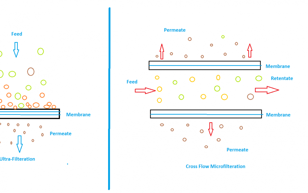 Simplified article on How Whey Protein is Manufactured?