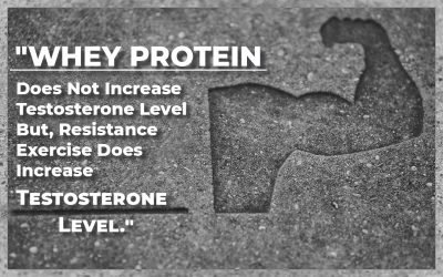 Does Whey Protein Affect Testosterone Level