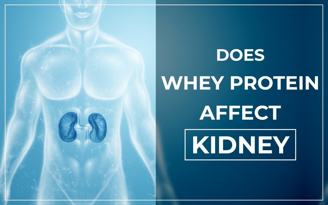 Is Whey Protein Affect Kidney